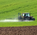 Agro é único setor da economia com crescimento na pandemia, diz IBGE